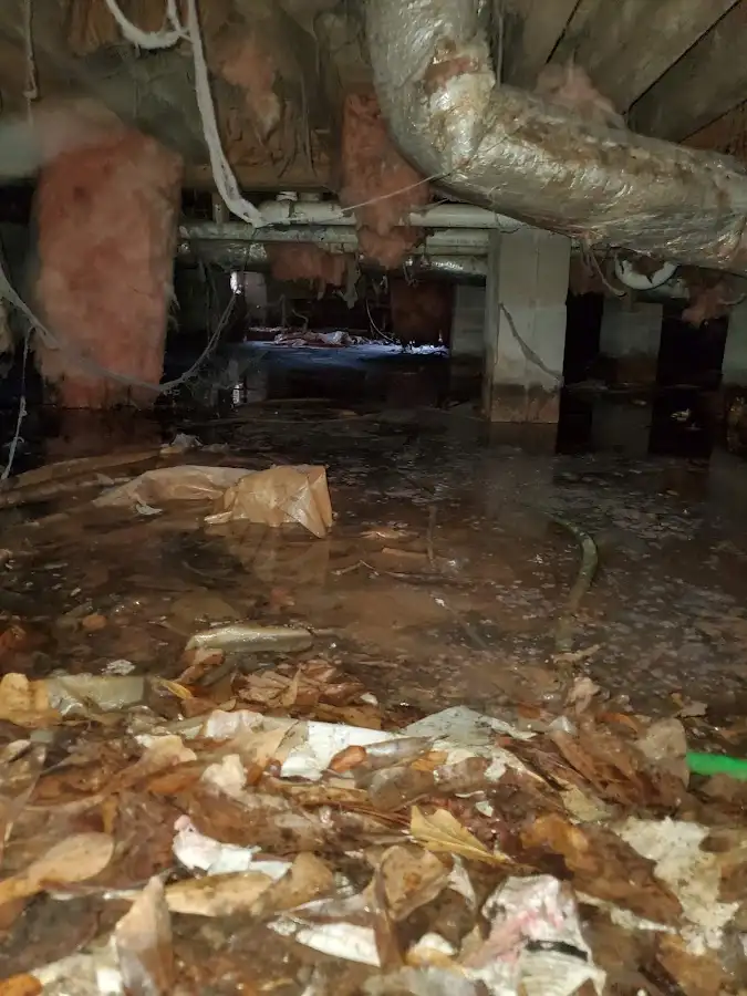 Crawl space flood assessment for Commercial Water Damage Restoration in Selma